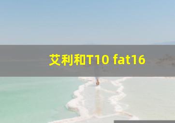 艾利和T10 fat16